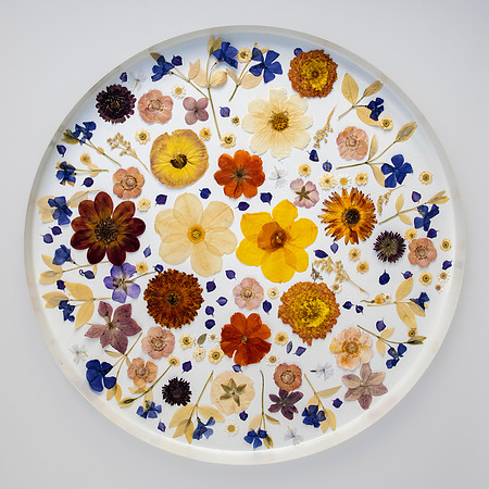 trays_sm-8503902-3
