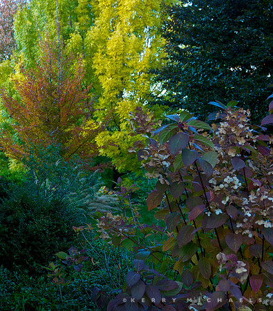 DSC_0020 - Version 2