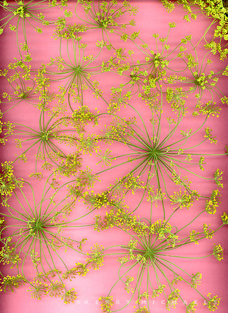 scan20250730_0018
