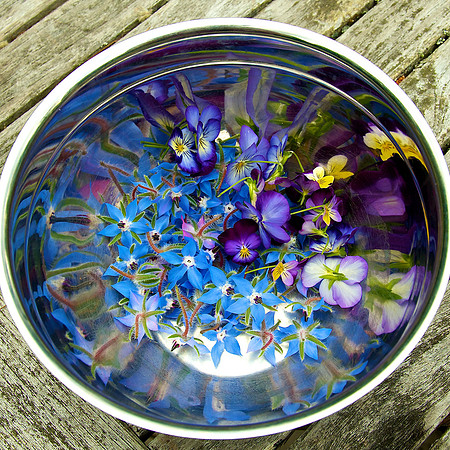 Edible_Flowers_DSC_6963