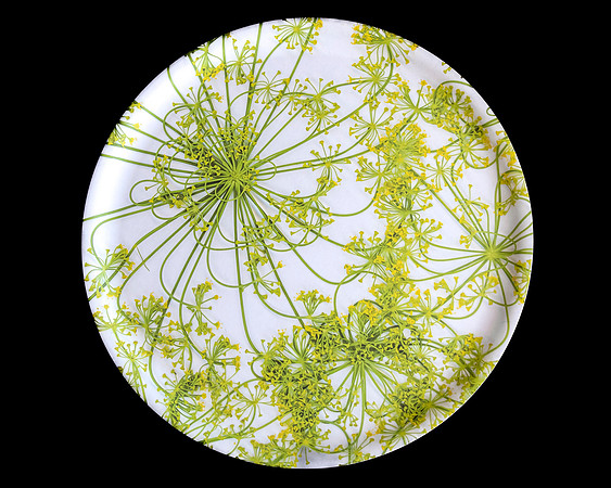trays_sm-8503662