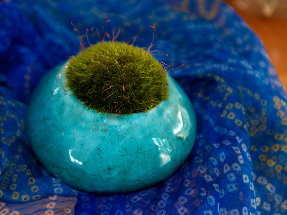 moss rocks