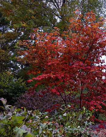 DSC_0378 - Version 2