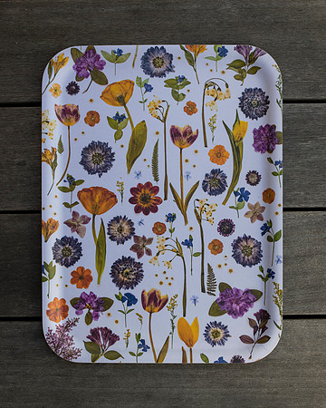trays_sm-8503740
