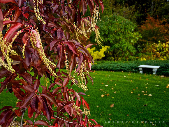DSC_0514 - Version 4