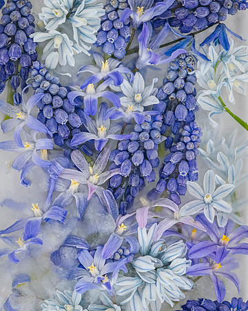 _8508480