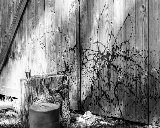 19Kerry_Michaels_DSC6989
