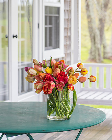 Wicked_Tulips-7149