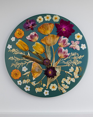 trays_sm-8503920
