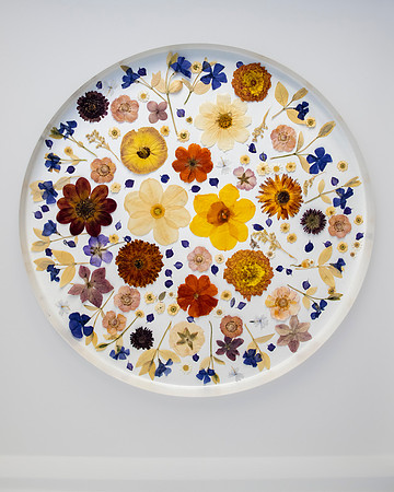 trays_sm-8503902
