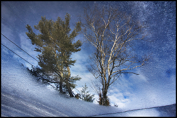 Puddle2.2_13