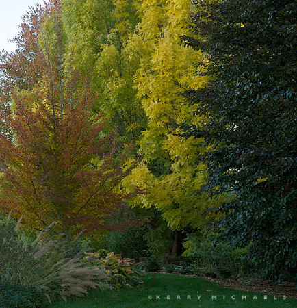 DSC_0016 - Version 4