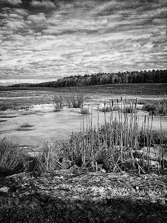 90AE_Highland_IMG_5236