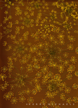scan20250730_0008