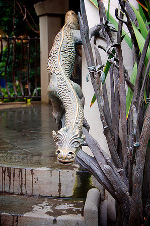 _DSC6665