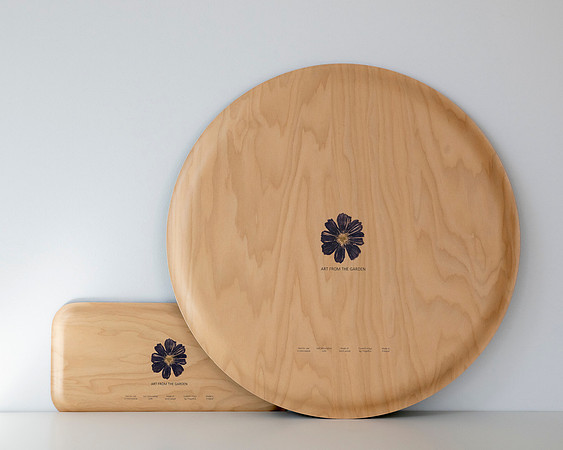 trays_sm-8504044