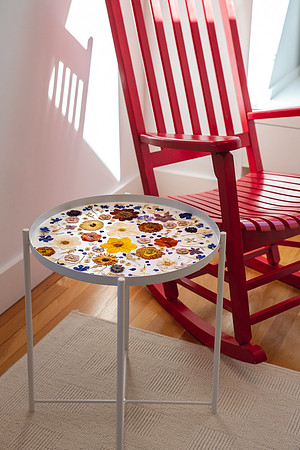 trays_sm-8503904