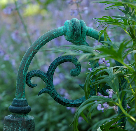 Garden Detail