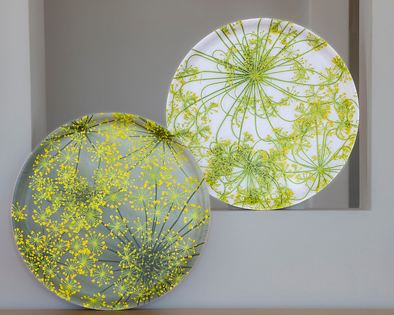 trays_sm-8503764