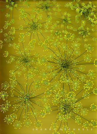scan20250730_0008-2