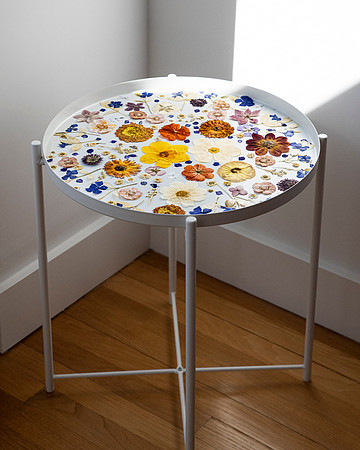 trays_sm-8503879