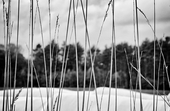 40AE_DSC_0052