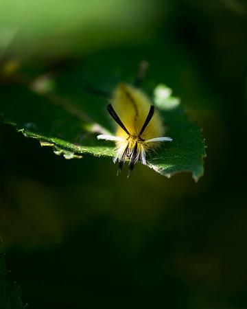 _DSC9503