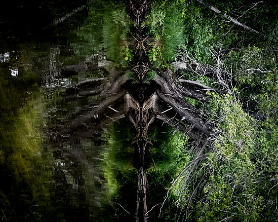 07_michaels_Reflection_North_Maine_Woods7_2017