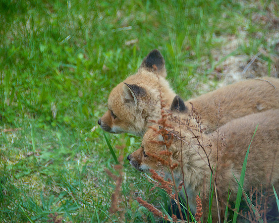 _DSC0891